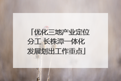 优化三地产业定位分工 长株潭一体化发展划出工作重点