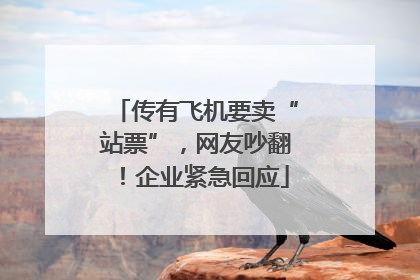 传有飞机要卖“站票”，网友吵翻！企业紧急回应
