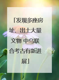 发现多座房址、出土大量文物 中乌联合考古有新进展
