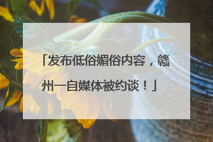 发布低俗媚俗内容，赣州一自媒体被约谈！