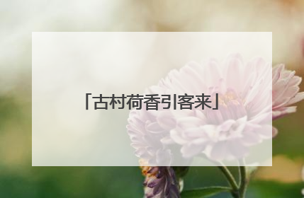 古村荷香引客来