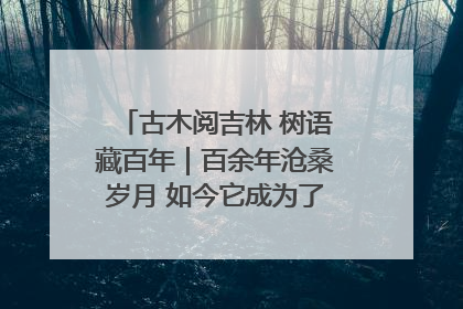 古木阅吉林 树语藏百年｜百余年沧桑岁月 如今它成为了“镇园之宝”