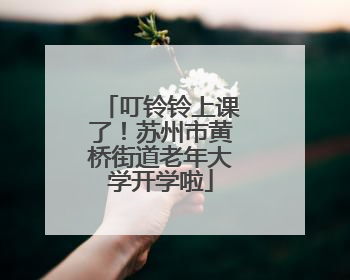 叮铃铃上课了！苏州市黄桥街道老年大学开学啦