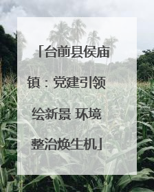 台前县侯庙镇：党建引领绘新景 环境整治焕生机