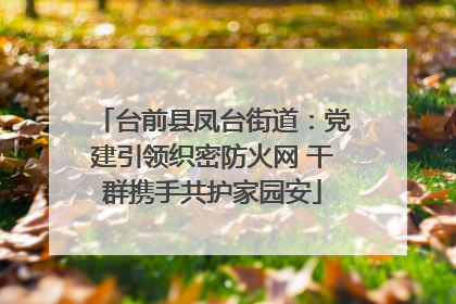 台前县凤台街道：党建引领织密防火网 干群携手共护家园安