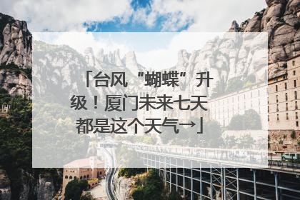 台风“蝴蝶”升级！厦门未来七天都是这个天气→