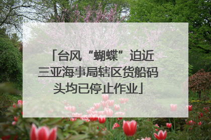 台风“蝴蝶”迫近 三亚海事局辖区货船码头均已停止作业