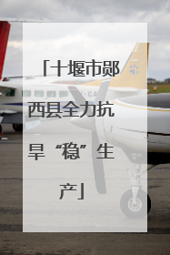 十堰市郧西县全力抗旱“稳”生产