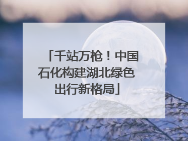 千站万枪！中国石化构建湖北绿色出行新格局