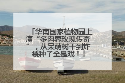 华南国家植物园上演“多肉界玫瑰传奇”，从呆萌树干到炸裂种子全是戏！