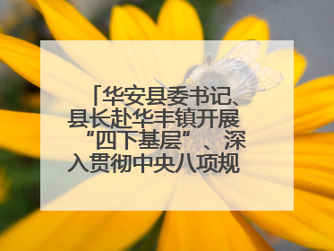 华安县委书记、县长赴华丰镇开展“四下基层”、深入贯彻中央八项规定精神学习教育工作调研