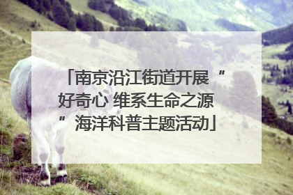 南京沿江街道开展“好奇心 维系生命之源”海洋科普主题活动