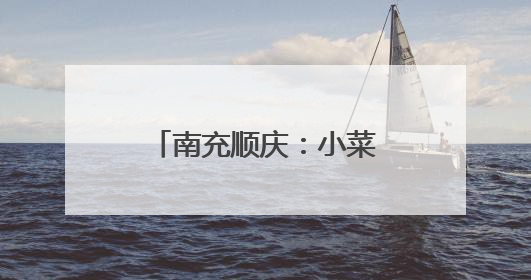 南充顺庆：小菜篮装满大民生 产业链拓宽致富路