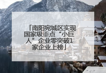 南阳宛城区实现国家级重点“小巨人”企业零突破1家企业上榜