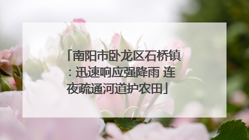 南阳市卧龙区石桥镇：迅速响应强降雨 连夜疏通河道护农田