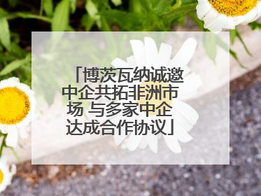 博茨瓦纳诚邀中企共拓非洲市场 与多家中企达成合作协议