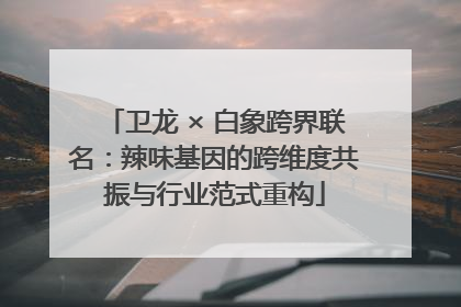 卫龙 × 白象跨界联名：辣味基因的跨维度共振与行业范式重构