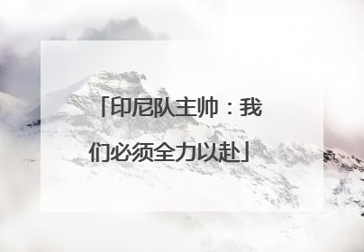 印尼队主帅：我们必须全力以赴