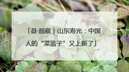 县·观察｜山东寿光：中国人的“菜篮子”又上新了