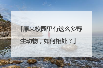 原来校园里有这么多野生动物，如何相处？