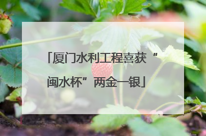 厦门水利工程喜获“闽水杯”两金一银