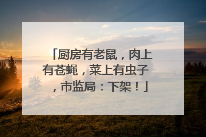 厨房有老鼠，肉上有苍蝇，菜上有虫子，市监局：下架！