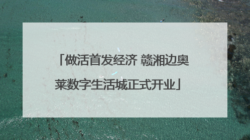 做活首发经济 赣湘边奥莱数字生活城正式开业