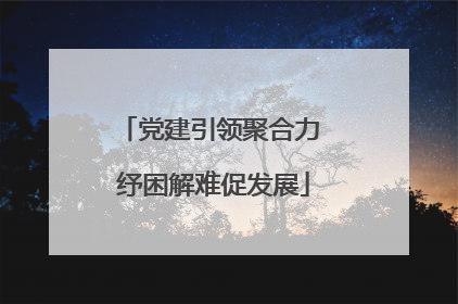 党建引领聚合力 纾困解难促发展