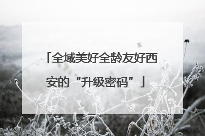 全域美好全龄友好西安的“升级密码”
