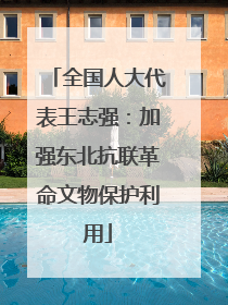 全国人大代表王志强：加强东北抗联革命文物保护利用