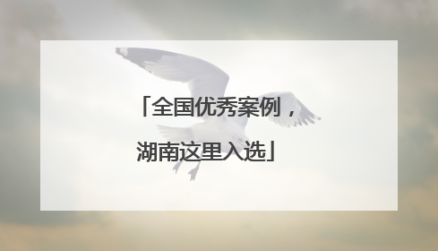 全国优秀案例，湖南这里入选