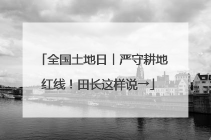 全国土地日丨严守耕地红线！田长这样说→