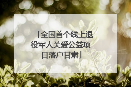全国首个线上退役军人关爱公益项目落户甘肃