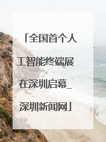全国首个人工智能终端展在深圳启幕_深圳新闻网