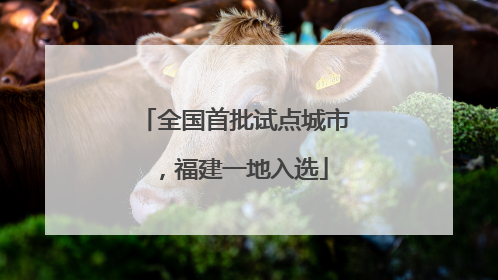 全国首批试点城市，福建一地入选