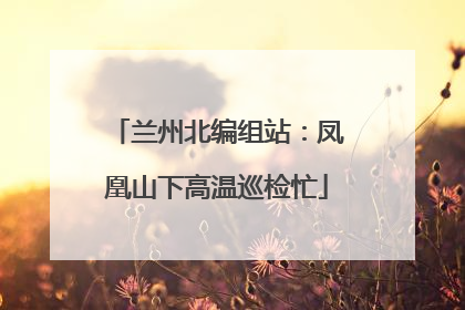 兰州北编组站：凤凰山下高温巡检忙