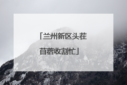 兰州新区头茬苜蓿收割忙