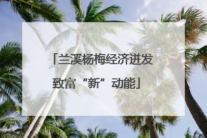 兰溪杨梅经济迸发致富“新”动能