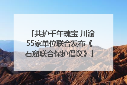 共护千年瑰宝 川渝55家单位联合发布《石窟联合保护倡议》