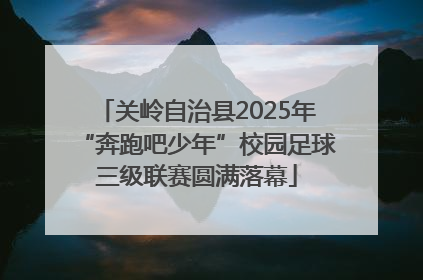 关岭自治县2025年“奔跑吧少年”校园足球三级联赛圆满落幕