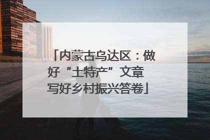 内蒙古乌达区：做好“土特产”文章 写好乡村振兴答卷