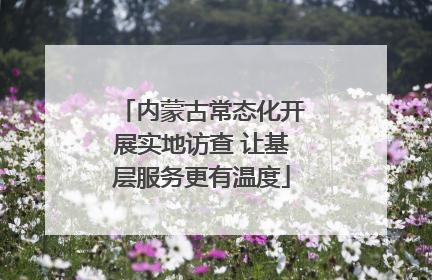 内蒙古常态化开展实地访查 让基层服务更有温度