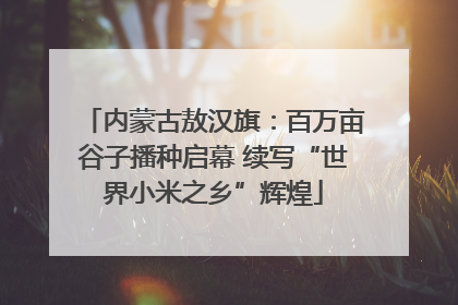 内蒙古敖汉旗：百万亩谷子播种启幕 续写“世界小米之乡”辉煌
