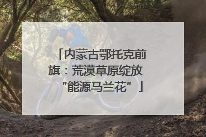 内蒙古鄂托克前旗：荒漠草原绽放“能源马兰花”