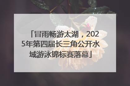 冒雨畅游太湖，2025年第四届长三角公开水域游泳锦标赛落幕