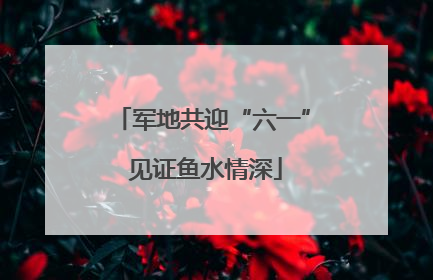 军地共迎“六一” 见证鱼水情深