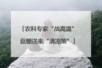 农科专家“战高温” 菇棚送来“清凉策”