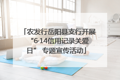 农发行岳阳县支行开展“6·14信用记录关爱日” 专题宣传活动