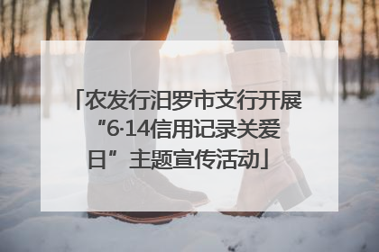 农发行汨罗市支行开展“6·14信用记录关爱日”主题宣传活动
