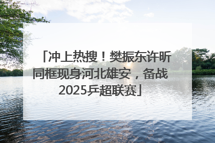 冲上热搜！樊振东许昕同框现身河北雄安，备战2025乒超联赛
